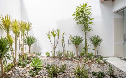 Jardín interno